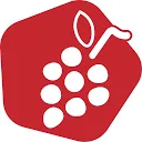 Picknickmand.nl AND Picknickmand.be logo