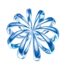 TLM Academy logo