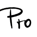 Pro-tp logo