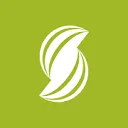 Synergo logo