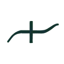 Logo van Studio Connect and Bloom