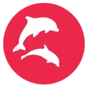 Daywize logo