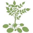 De Aardappelboer logo