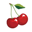 FRUIT QUEEN BV logo
