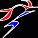 VSN Vereniging ter bevordering van de Schermsport in Nederland logo