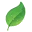 Bio Bound logo