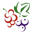 Berrybrothers logo