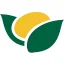 Averis logo