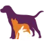 Kleine Huisdieren Kliniek Krimpen logo