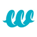 Washers - Clever Carwash logo