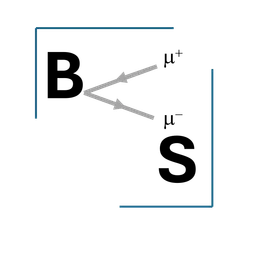 Boson Solutions logo