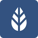 MoreApp logo