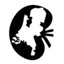 Dutch Kidney Transplant Study Group logo