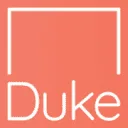 Duke Strategies logo
