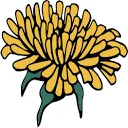 Dandelion Branding logo