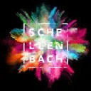Schellenbach B.V. logo