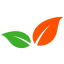 Fatrans logo