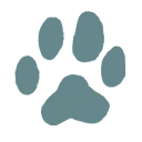 Pet Studio logo