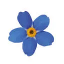 Dementievriendelijk Brabant logo