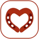 Paard AND Partner logo