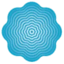 confidon logo