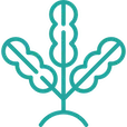 AlgaeHolland logo