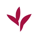 Delphy logo