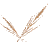 Van Den Berg Rietdekkers logo