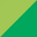 SKILLS vmbo logo