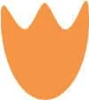Baay Dutch Language Courses logo