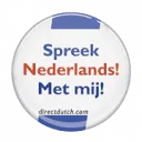 Direct Dutch Institute logo