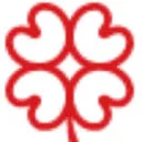 De Jong Workum FA logo