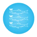 Stichting Omroep Scheveningen logo