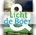 Licht AND de Boer logo
