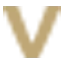 Victa - Business Intelligence logo
