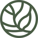 Greenstory logo