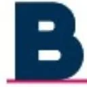 BRINXX BV logo