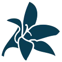 Bungalowpark AND Zwembad Campanula logo