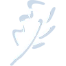Boomkwekerij Coonen logo