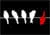 Dare To Be Different Outdoor B.V. logo