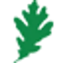 LignoStar Group logo
