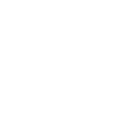 Dutchwebs.com logo
