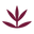 Dore Rooibos Cosmetics logo