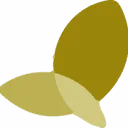 FocusXL logo