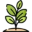beukenhaag planten en kopen via beukplanten.nl logo