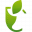 FRUITSOLUTE logo