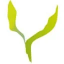 De Nieuwe Lente logo