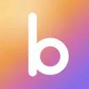 BwiseR logo