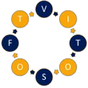 VitoSoft logo