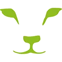 LION Finance logo